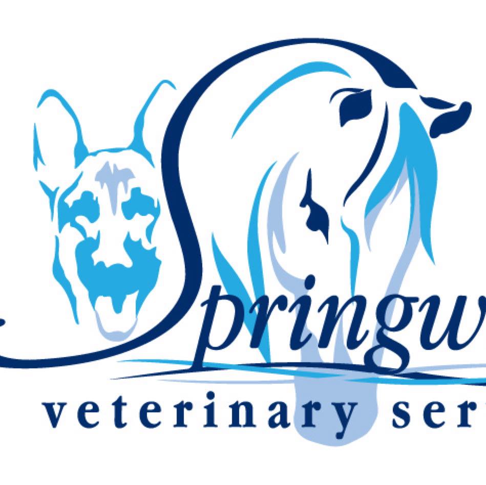 Veterinarian